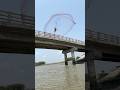 Jumping from bridge to catch fish #flaying #netfishing #fishing #villagelife #fishinglife