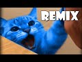 Sonic Green Hill Zone Theme (Cat Meowing Remix) thumbnail