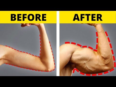 Foods To Eat To Quickly Gain Weight And Muscle - 11 foods to quickly