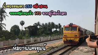 Rotfaithai Ep.258 นั่งรถธรรมดา 255 หลังสวน จอดหลีกรถเร็ว 172 จากสุไหงโกลก ที่สถานีนครชุมน์