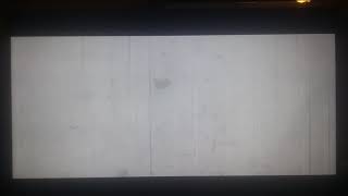 Dirty Monkeyj.q. Picturesfree Whale Pictures 2019