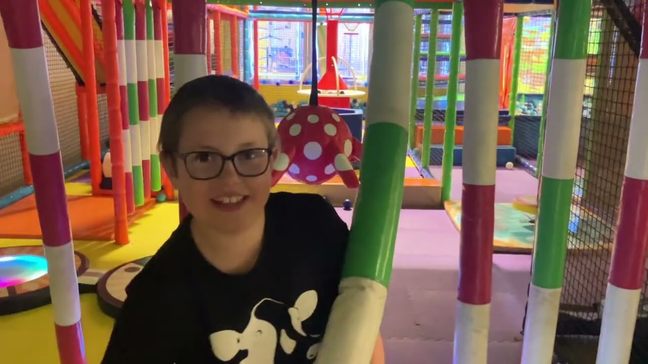 Chipmunks - Lyall Bay