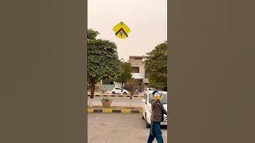 Kite catching in street😱#youtubeshorts #trending #kiteflying