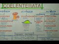 #Coelenterata_General_Features #Cnidaria_General_Features