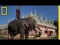 Religion and Ivory Trafficking Issues