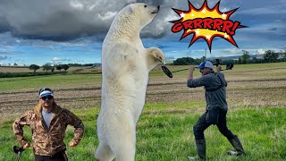 metal detecting with the XP DEUS 2 versus MINELAB EQUINOX 800  SILVER! and my first POLAR BEAR