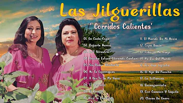 🌹 Las Jilguerillas Mix - Puras Pá Pistear ~ Corridos y Rancheras Viejitas || 20 Exitos Originales #r