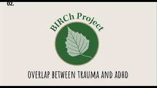 Trainings for Paraprofessionals and Mentors: Module 10-Mental Health Diagnoses