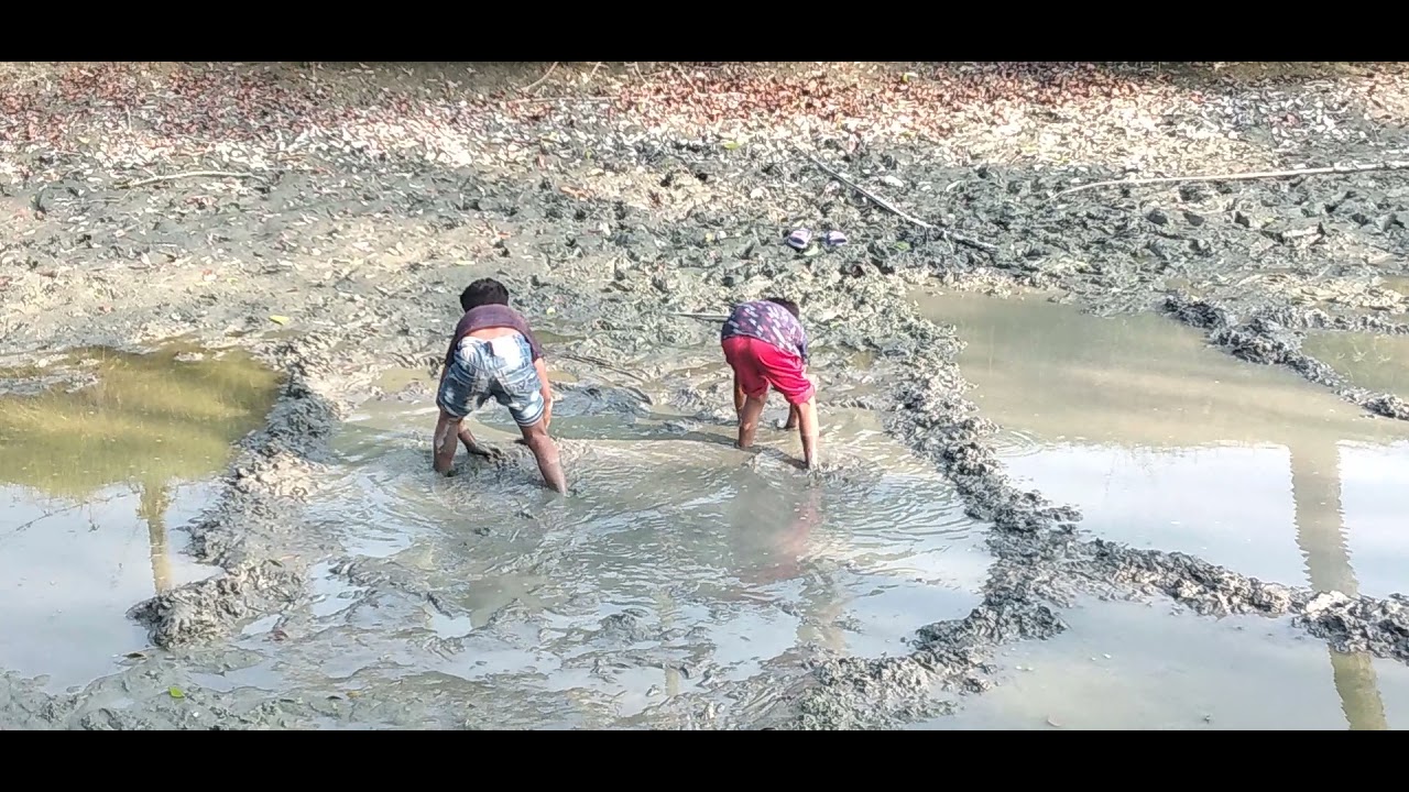 Catching Village Fishing video