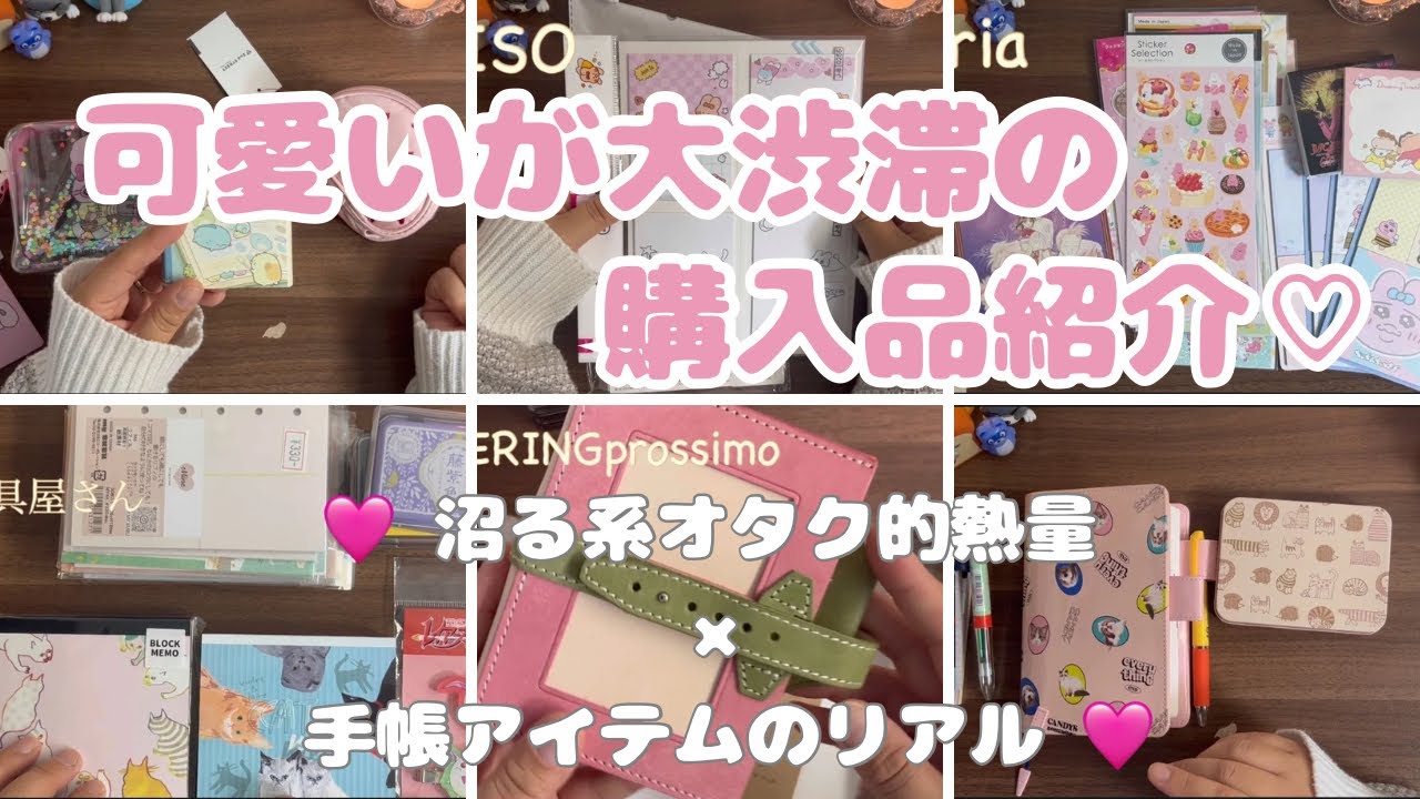 【購入品紹介】可愛すぎて選べない…！メモ帳＆M6リフィル爆買いで沼が深まった日🫧🩷 #011