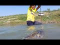 Best Fishing Video Popular fish Trapping System in Beautiful Village River with Fish Hook Trap #fish