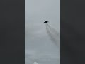 Harrier fighter jet just after takeoff… sound is great