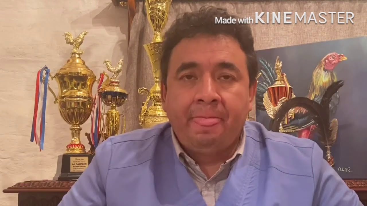 Porque no tengo resultados en mis gallos de pelea, Que es la genética 🧬 Que son los genes