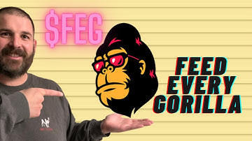 FEG token with 100 Quadrillion Supply - What is "Feed Every Gorilla" or FEGtoken? Should I buy FEG?