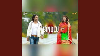 Video thumbnail of "Sunil Mastie - Bindlu"