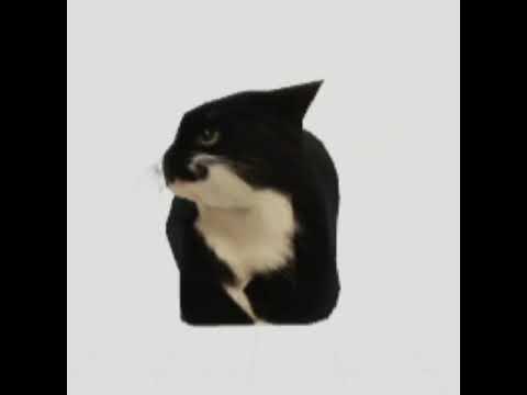 Spinning Cat GIF, Maxwell the Cat / Spinning Cat