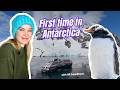 HX Expeditions Highlights of Antarctica - First time in Antarctica on the Fridtjof Nansen