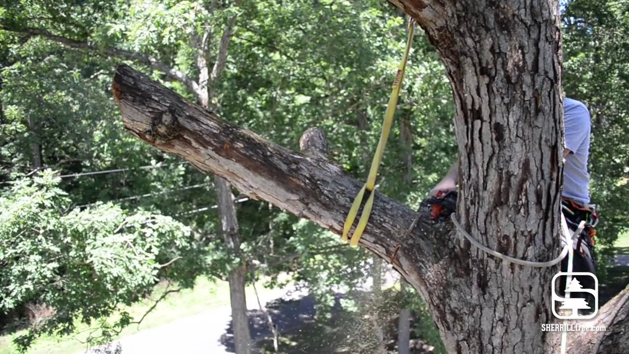 BackBone Rigging Connector - YouTube