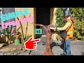 Diy cement letterbox tree lookalike