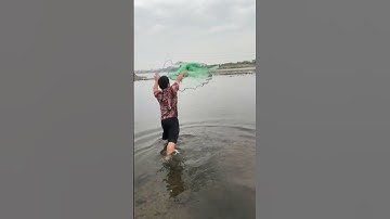 spinner rig  #fishing #fish #catch #cast #nets #video