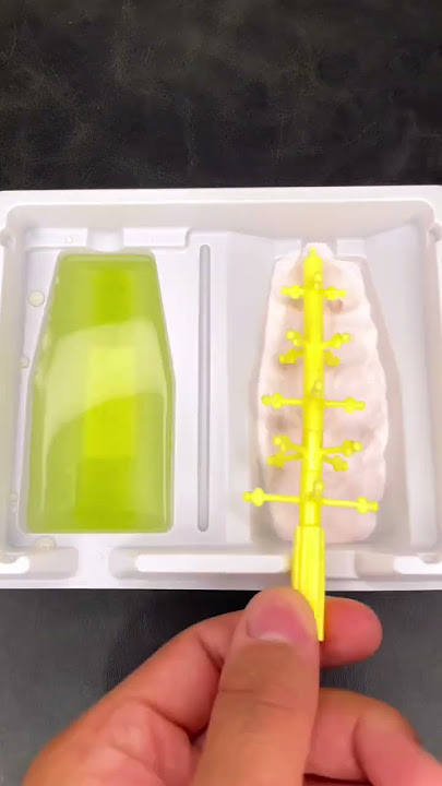 Japanese Gummy Home Kit - Naru Naru Gumi No Mi
