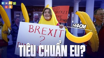 DÂN CHÂU ÂU RÊN XIẾT DƯỚI NHỮNG TIÊU CHUẨN PHI LÝ CỦA EU