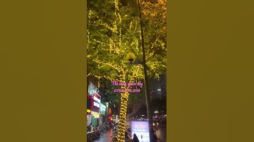 Thi công quấn cây bằng led đúc F5. Hotline: 0766.272.999