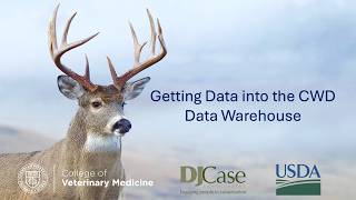 Getting Data into the CWD Warehouse