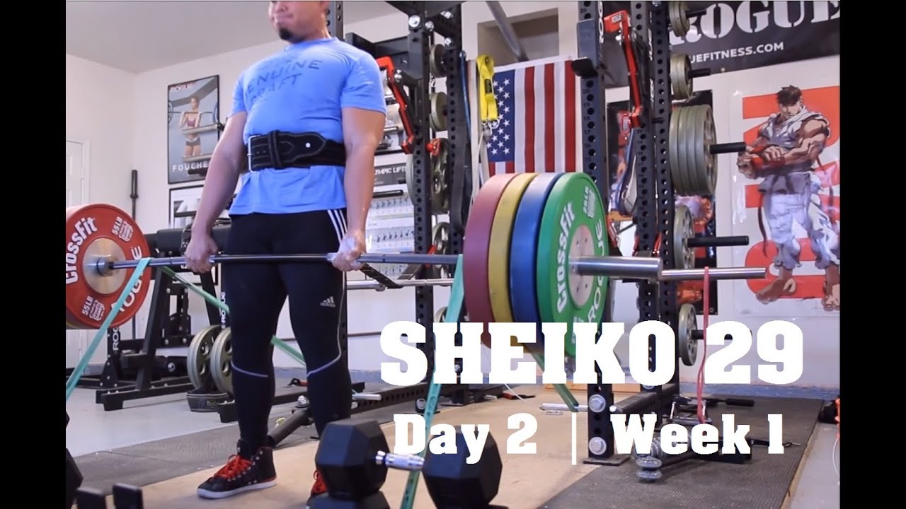 SHEIKO 29 | Dia de los Deadlifts - YouTube