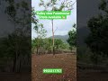 Farmhouse Plots Pune 9923317757 #punecity NA plots water Touch Plots Pune