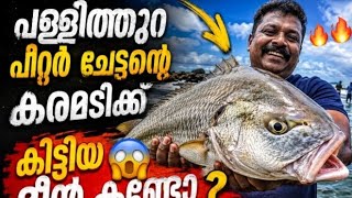 പള്ളിത്തുറ പീറ്റർ ചേട്ടന്റെ കരമടിയിൽ ഇന്ന് കിട്ടിയ മീൻ കണ്ടോ 😱🔥#Pallithura#FishCatch#KeralaFishing