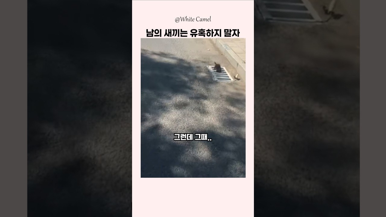 진짜 배수구에 빠질 줄은 몰랐다