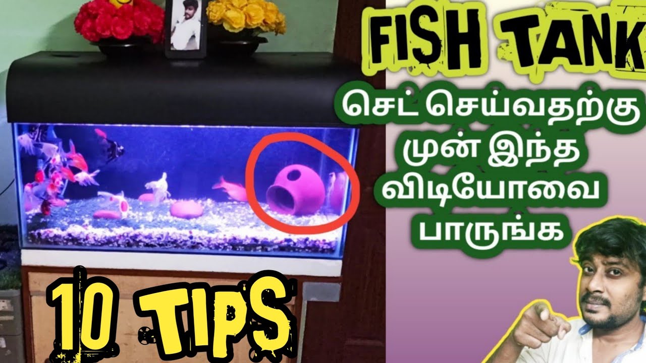 10 Tips For Aquarium Setup தமிழ் | Fish Tank Setup in Tamil | Babark Vlogs