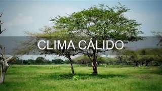 Video parte 09 CLIMA CALIDO 1