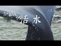 Living Waters – Mandarin Chinese 活水