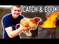 Fresh BARNYARD CHICKEN Over REDNECK BARREL FIRE! (Catch & Cook)