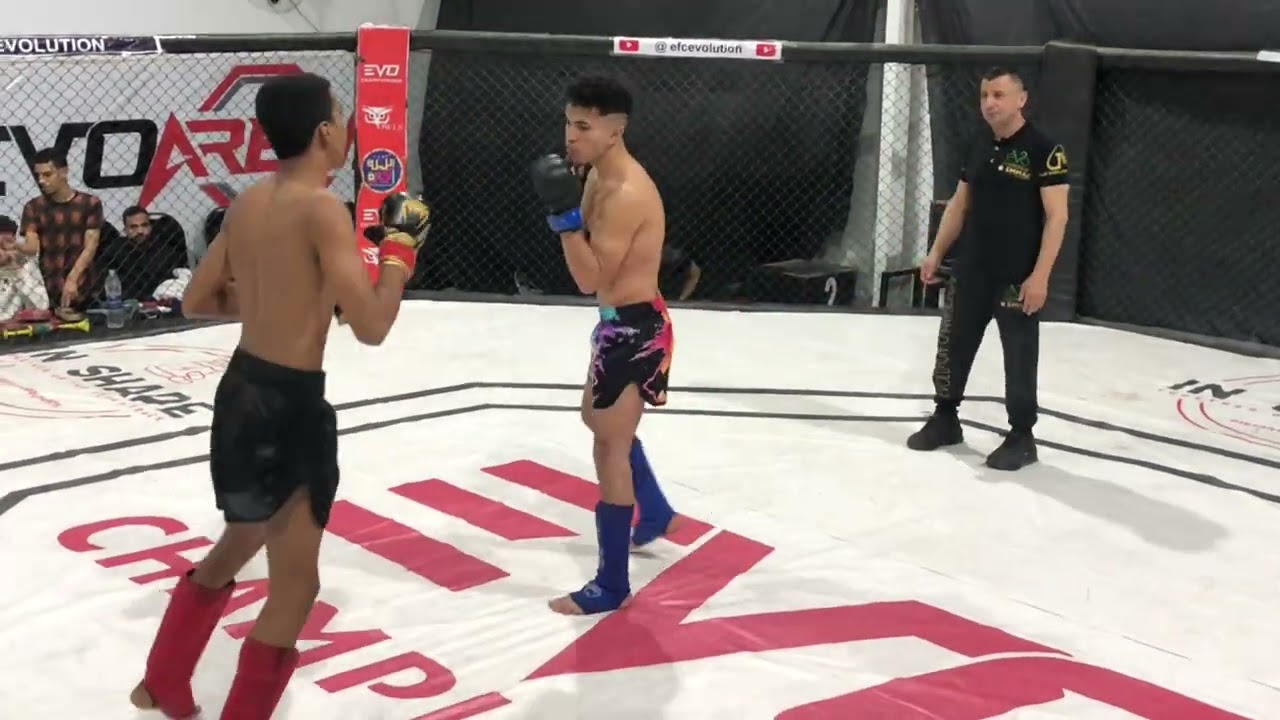 ١٣ يناير، ٢٠٢٦