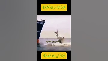 (إِنَّ الْإِنسَانَ لِرَبِّهِ لَكَنُودٌ .... ) بصوت القارئ الشيخ خالدالجليل #قرآن_كريم #خالد_الجليل