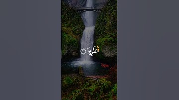 #اكسبلور #المصحف #دويتو #القزابري #القارء #duet #ايات #لايك #تلاوات