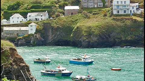 Portwenn (modular synth patch) [Erica Synths Pico Voice, Noise Reap Bermuda]