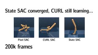 CURL official video