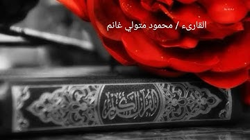فأتت به قومها تحمله .. مقطع خاشع من سورة مريم