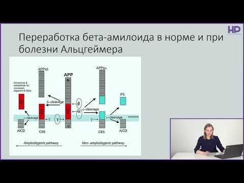 Видео: Ранний опыт и развитие эмоциональных систем обучения у крыс