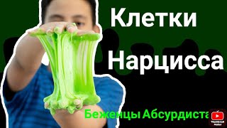 Клетки Нарцисса