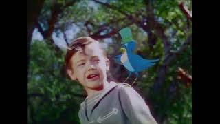 Rare And Classic Movies On DVDs | Find Rare | Watch Rare