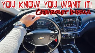 WHY DO AMERICANS LOVE DRIVING CHEVY IMPALAS 🧐 The Answer is SIMPLE….