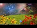 New Age Music: Relaxing Music; Reiki Music; Yoga Music; Relaxation Music; Spa Music; π