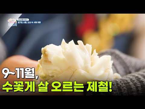 [신선행] 9~11월, 수꽃게 살이 오르는 최고의 제철! [생방송 굿모닝 대한민국] | KBS 260918 방송