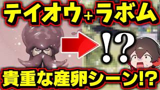 テイオウイカでラッキーボムをマックスにすると貴重な産卵シーンになった【スプラトゥーン】【スプラ小ネタ】