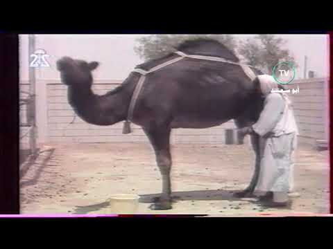 برنامج سعودي القناة الثانية تسجيل ١٤١٤ ه ١٩٩٤ ه